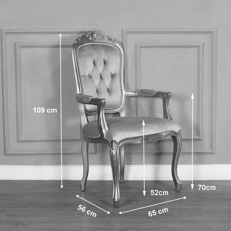 Louis XV Elise Armchair - Grey Velvet with Silver Frame - Image 5